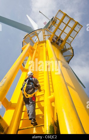 Un ingegnere che si arrampica su un pezzo di transizione di una turbina eolica sulla Walney offshore wind farm Foto Stock