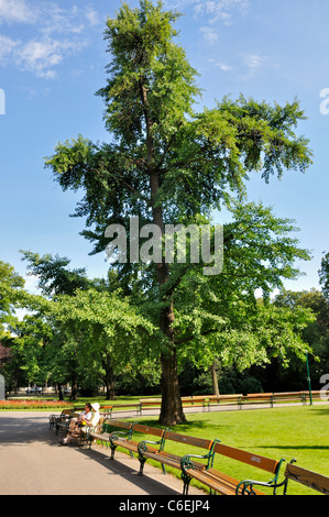 Parcheggiare a Vienna, Austria, Europa Foto Stock