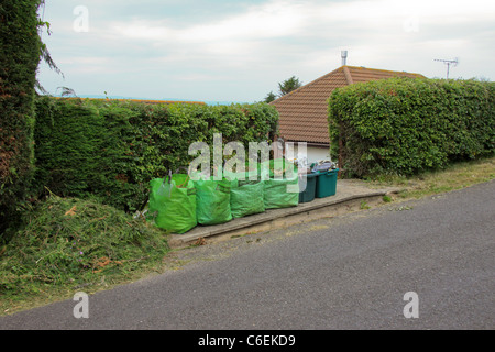 Giardino verde con sacchetti di rifiuti e riciclaggio di scatole di raccolta in attesa Foto Stock