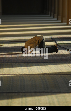 Preghiere alla moschea di Ibn Tulun al Cairo. Foto Stock