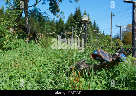 Bucina - Buchwald - Repubblica ceca Germania confine - Cortina di ferro dalla guerra fredda era - Sumava - Bayerischer wald Foto Stock