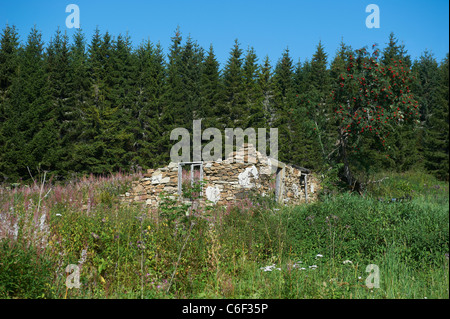 Bucina - Buchwald - Repubblica ceca Germania confine - Cortina di ferro dalla guerra fredda era - Sumava - Bayerischer wald Foto Stock