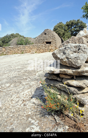 Antica capanna di pietra nel villaggio Bories, nei pressi di Gordes in Provenza, Francia Foto Stock