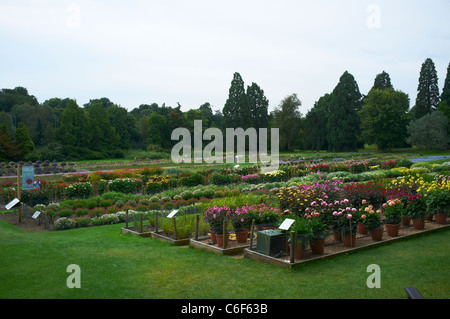 Prove di campo giardino RHS Wisley Woking, SURREY REGNO UNITO Foto Stock