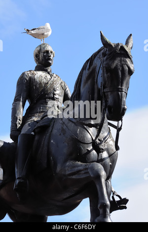 Statua del Principe Albert su un cavallo con un gabbiano sulla sua testa. Foto Stock