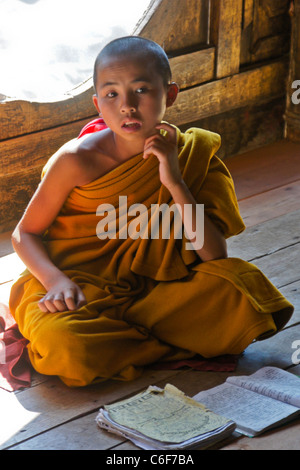 Monaco novizio a studiare in monastero Buddista, Myanmar (Birmania) Foto Stock