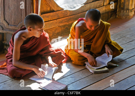 Il debuttante monaci studia in monastero Buddista, Myanmar (Birmania) Foto Stock