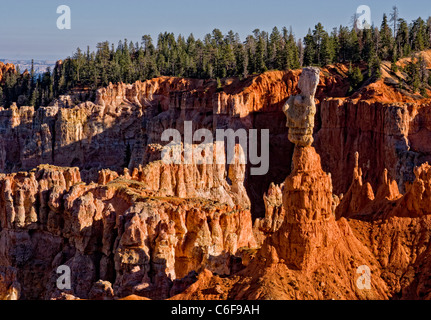 Thors Hammer Parco Nazionale di Bryce Canyon Foto Stock