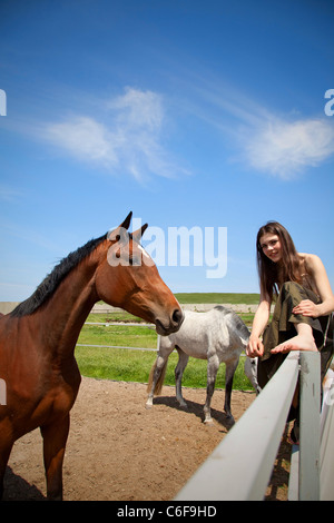 Portraite della ragazza attraente e cavallo. outdoor shot Foto Stock