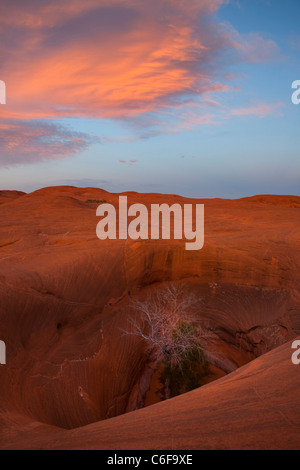 Buche presso il Dance Hall Rock, al tramonto - Grand Staircase-Escalante monumento nazionale, Utah Foto Stock