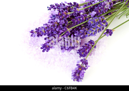 Lavanda fiori rosa e i sali da bagno su sfondo bianco Foto Stock