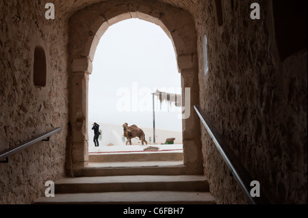 Museo di Guellala. Djerba. La Tunisia. Il Nord Africa Foto Stock