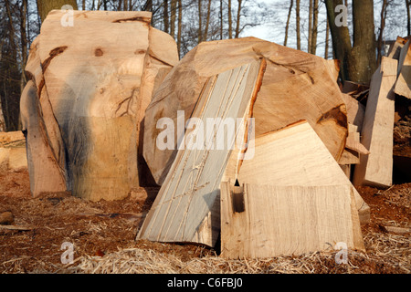 Il taglialegna sul posto di lavoro nella foresta con tronchi scolpiti, trucioli e segatura sul pavimento del bosco Foto Stock