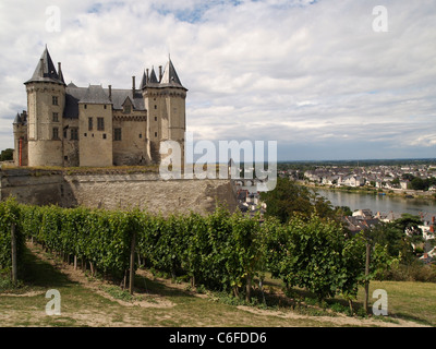 Chateau de Saumur, Valle della Loira, in Francia, con vigneto in primo piano e il fiume Loira in background. Foto Stock