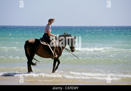 La donna a cavallo su Quarter Horse sulla spiaggia Foto Stock