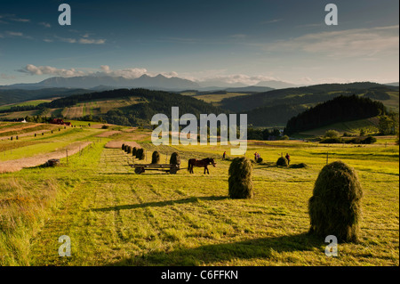 Paesaggio rurale da Monti Tatra, Podhale, Polonia Foto Stock
