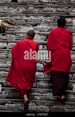 Due monaci in rosso accappatoi salendo le scale di pietra a paro Rinpung Dzong, Bhutan Foto Stock