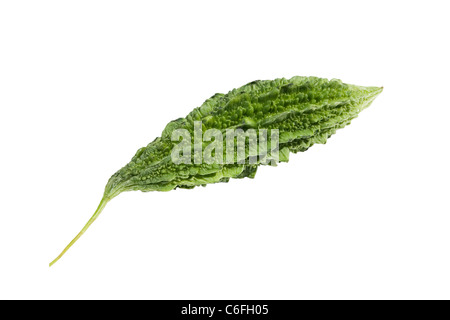 Indiano di melone amaro (Momordica charantia) isolato su sfondo bianco Foto Stock