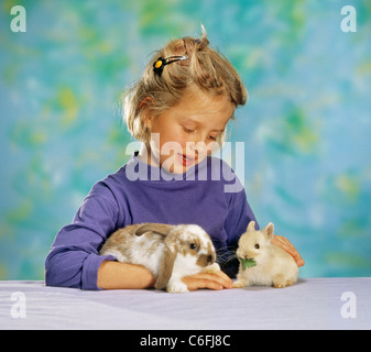 Ragazza con giovani lop-eared dwarf rabbit e coniglio nano Foto Stock