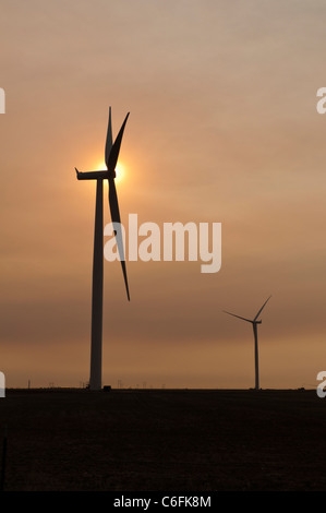 Le turbine eoliche al tramonto si trova su terreno coltivato nei pressi di Amarillo, Texas. Foto Stock