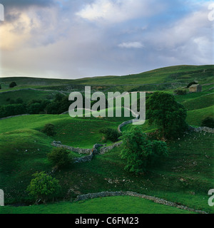 Una scena Swaledale di colline, muri in pietra a secco e da un fienile, bagnata dal sole serale dopo un passaggio di doccia con getto a pioggia. Foto Stock