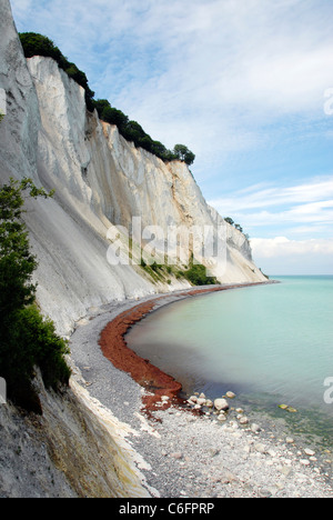 Le Bianche scogliere di Møns Klint (scogliere di Møn) sulla costa orientale dell'isola danese di Møn nel Mar Baltico. Foto Stock