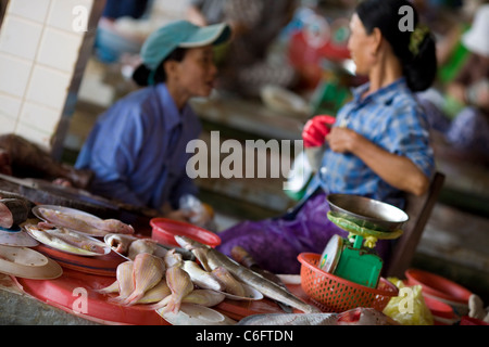 Le donne di vendita del pesce a Hoi An mercato in Vietnam Foto Stock