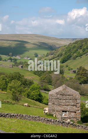 Paesaggio rurale nei pressi di Keld in Swaledale, North Yorkshire England Regno Unito Foto Stock