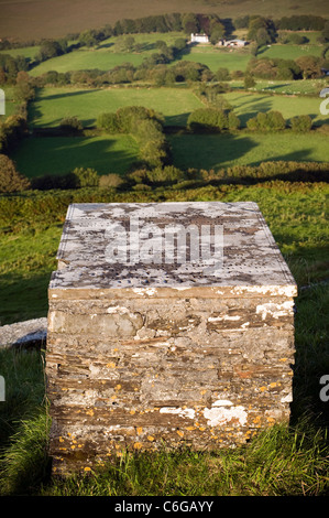 Vista dal Brent Tor di tombe sul bordo occidentale del Dartmoor,a nord di Tavistock, Foto Stock