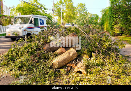 Giorno dopo l uragano Irene hit Long Island, USPS mail carrello guida attorno albero che è caduto, Merrick, New York, 29 agosto 2011 Foto Stock