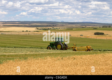 Il trattore nel campo nei pressi di Cortez, Colorado Foto Stock