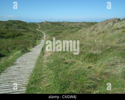 BRAUNTON BURROWS nel nord-ovest del Devon, Inghilterra che mostra il Boardwalk attraverso il sistema di dune. Foto Tony Gale Foto Stock