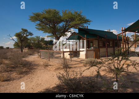 Tented Camp a Grootkolk nel Kalahari Foto Stock