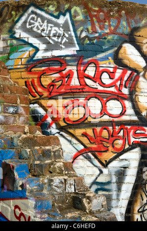 Graffiti - Fiume Arts District - Asheville, North Carolina, STATI UNITI D'AMERICA Foto Stock