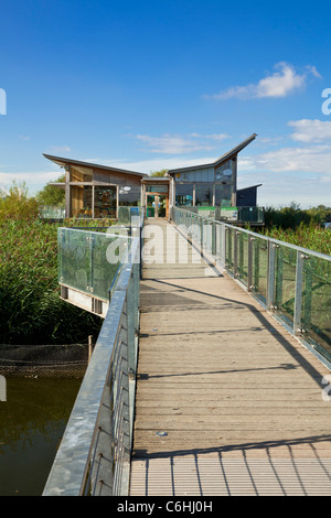 Attenborough centro natura Nottingham England Regno Unito GB EU Europe Foto Stock