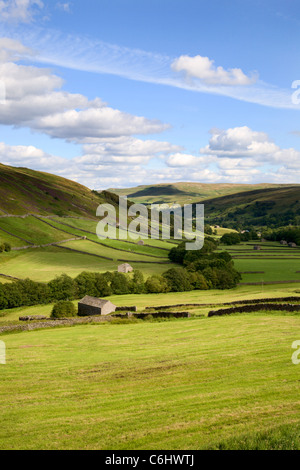 Granai vicino Kisdon Hill Swaledale Yorkshire Dales Inghilterra Foto Stock