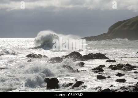 Big Surf che si infrangono sulle rocce in tempesta in Baia di Stonehaven - Kincardineshire Foto Stock