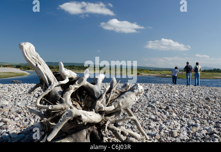 Driftwood spiaggiata alla Baia di Spey con la famiglia guardando attraverso estuario Foto Stock