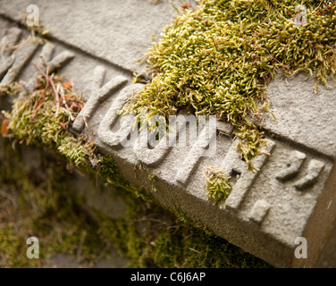 Lapide con la parola "giovanile: coperto in MOSS Foto Stock