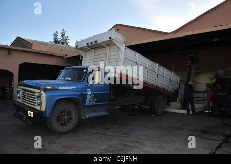 I turisti a guardare blu bianco carro uve di ribaltamento nella tramoggia di meccanica, Carmine Granata Cantina, Mendoza, Argentina Foto Stock