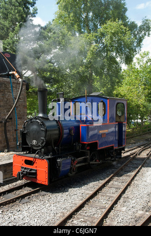 Motore a vapore sul South Tynedale Railway, Alston, Cumbria, Inghilterra. Foto Stock