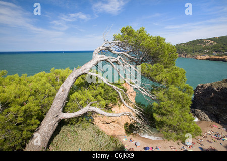 Costa Brava Catalogna Foto Stock