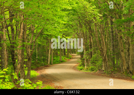 Con Robinson punto del trasporto su strada, Roosevelt Campobello International Park, Welshpool, Campobello Island, New Brunswick, Canada Foto Stock