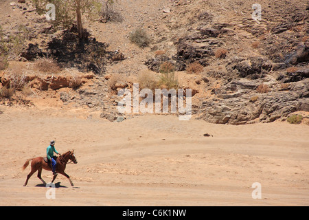 Cavaliere a cavallo nel deserto paesaggio Foto Stock