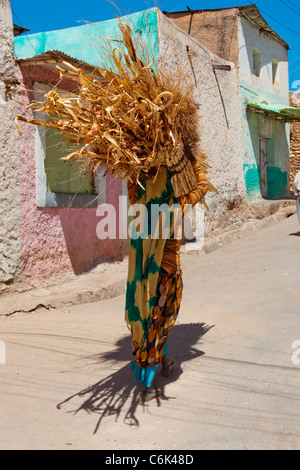 Un Harari donna che porta un fascio di legna al mercato nella colorata città murata di Harar in Etiopia orientale, Africa. Foto Stock