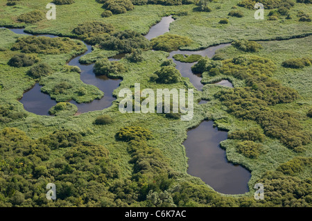 Vista aerea del Norfolk Broads riserva naturale, Inghilterra Foto Stock