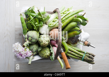 La molla di verdure con aioli Foto Stock