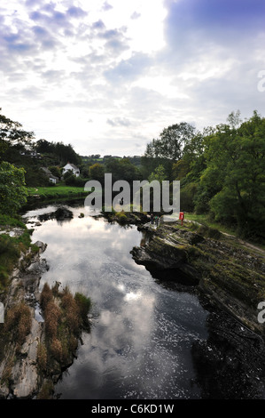Il fiume (o Afon) Teifi dal ponte Cenarth formando il confine tra Carmarthenshire e Ceredigion in West Wales UK Foto Stock