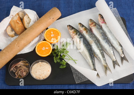 Sardine ripiene con salsa di arancio Foto Stock