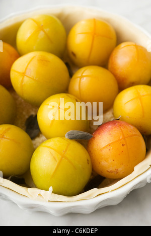 Mirabelle prugna tart pronto per cuocere al forno Foto Stock